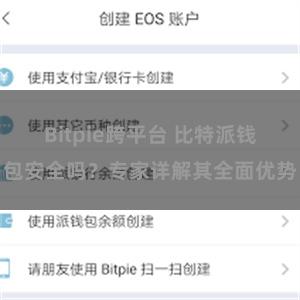 Bitpie跨平台 比特派钱包安全吗？专家详解其全面优势