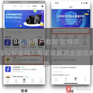 Bitpie用户教程 比特派钱包安全吗？专家详解其全面优势