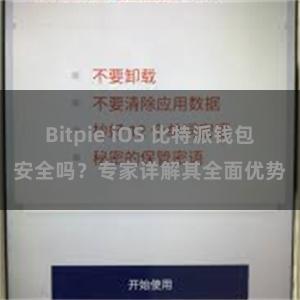 Bitpie iOS 比特派钱包安全吗？专家详解其全面优势