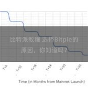 比特派教程 选择Bitpie的原因，你知道吗？