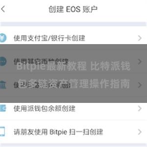 Bitpie最新教程 比特派钱包多链资产管理操作指南