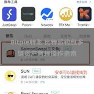 Bitpie转账 比特派钱包多链资产管理操作指南