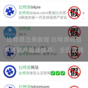 比特派注册教程 比特派钱包多链资产管理技巧：全面攻略