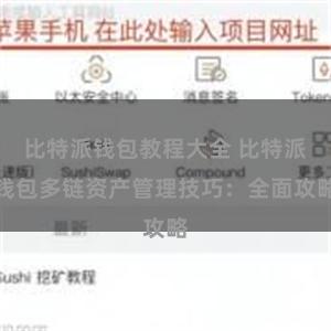 比特派钱包教程大全 比特派钱包多链资产管理技巧：全面攻略