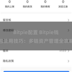 Bitpie配置 Bitpie钱包使用技巧：多链资产管理全攻略