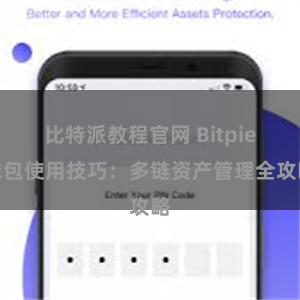 比特派教程官网 Bitpie钱包使用技巧：多链资产管理全攻略