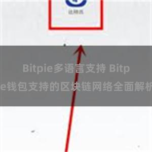 Bitpie多语言支持 Bitpie钱包支持的区块链网络全面解析