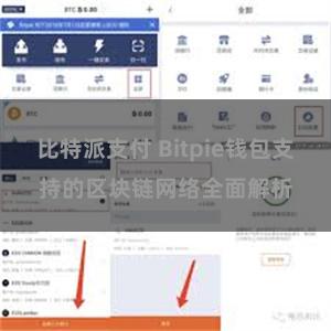 比特派支付 Bitpie钱包支持的区块链网络全面解析