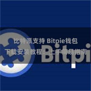 比特派支持 Bitpie钱包下载安装教程：上手简易指南