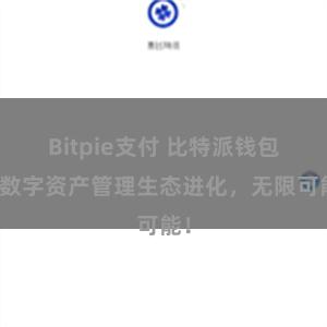 Bitpie支付 比特派钱包：数字资产管理生态进化，无限可能！