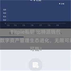 Bitpie私钥 比特派钱包：数字资产管理生态进化，无限可能！