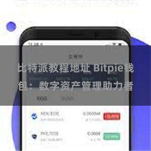 比特派教程地址 Bitpie钱包：数字资产管理助力者