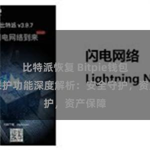 比特派恢复 Bitpie钱包隐私保护功能深度解析：安全守护，资产保障