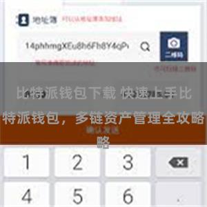 比特派钱包下载 快速上手比特派钱包，多链资产管理全攻略