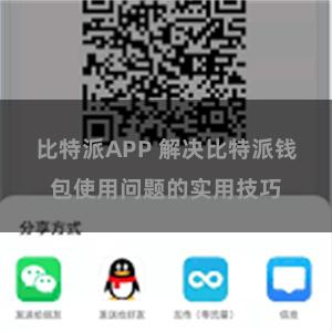 比特派APP 解决比特派钱包使用问题的实用技巧