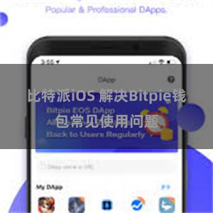 比特派iOS 解决Bitpie钱包常见使用问题