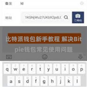 比特派钱包新手教程 解决Bitpie钱包常见使用问题