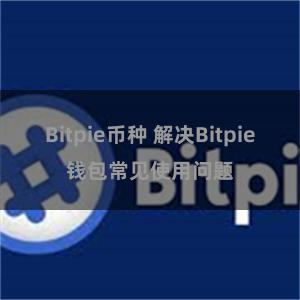 Bitpie币种 解决Bitpie钱包常见使用问题