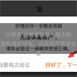 比特派 比特派钱包：强大的隐私保护功能，让您资产更安全