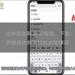 比特派官网 新手指南：下载并使用比特派钱包必知事项