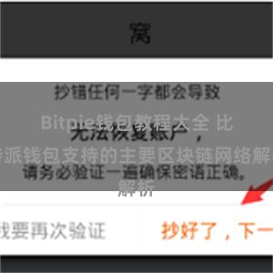 Bitpie钱包教程大全 比特派钱包支持的主要区块链网络解析