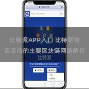 比特派APP入口 比特派钱包支持的主要区块链网络解析