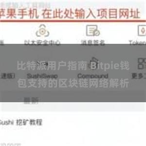 比特派用户指南 Bitpie钱包支持的区块链网络解析