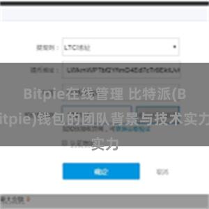 Bitpie在线管理 比特派(Bitpie)钱包的团队背景与技术实力