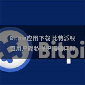 Bitpie应用下载 比特派钱包用户隐私保护措施详解