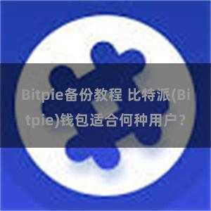 Bitpie备份教程 比特派(Bitpie)钱包适合何种用户？