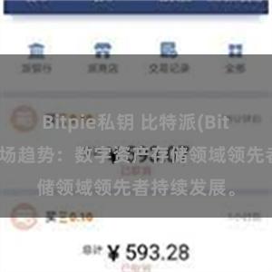 Bitpie私钥 比特派(Bitpie)钱包市场趋势：数字资产存储领域领先者持续发展。