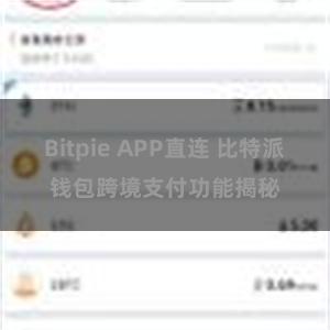 Bitpie APP直连 比特派钱包跨境支付功能揭秘