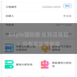 Bitpie国际版 比特派钱包：分布式治理教程