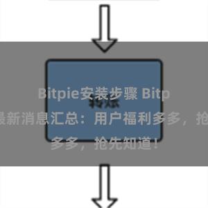 Bitpie安装步骤 Bitpie官方最新消息汇总：用户福利多多，抢先知道！