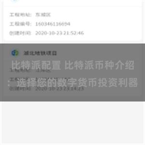 比特派配置 比特派币种介绍：选择您的数字货币投资利器