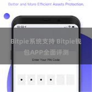 Bitpie系统支持 Bitpie钱包APP全面评测
