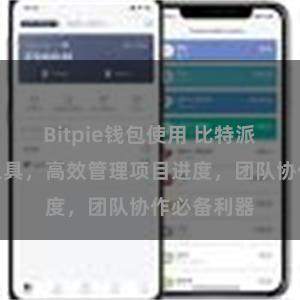 Bitpie钱包使用 比特派在线管理工具，高效管理项目进度，团队协作必备利器