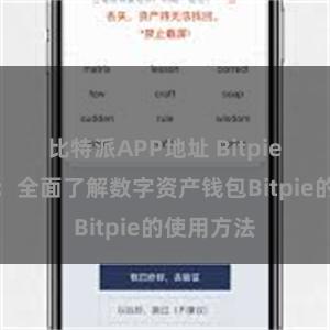 比特派APP地址 Bitpie官网教程：全面了解数字资产钱包Bitpie的使用方法