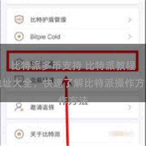 比特派多币支持 比特派教程地址大全，快速了解比特派操作方法