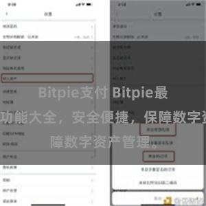 Bitpie支付 Bitpie最新版APP功能大全，安全便捷，保障数字资产管理。
