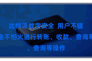 比特派数字安全  用户不错精真金不怕火进行转账、收款、查询等操作