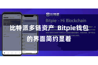 比特派多链资产  Bitpie钱包的界面简约显着