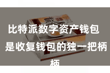 比特派数字资产钱包  是收复钱包的独一把柄